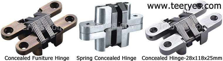 Stainless Steel Concealed Hinges