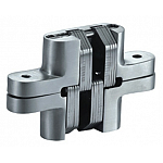 Spring Concealed Hinge-SS Body